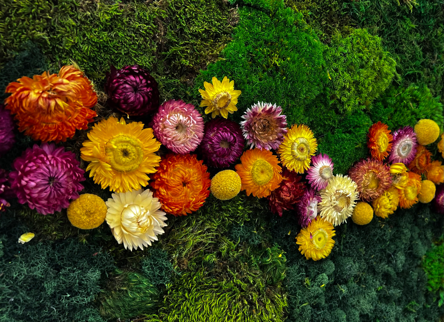 Close-up of yellow, orange, pink, and dark purple flowers on green moss wall art