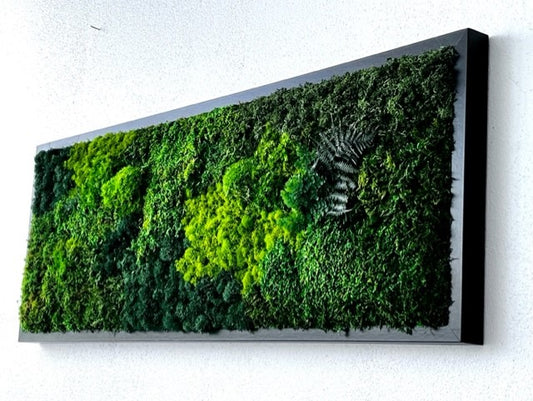 Unique Moss Wall Art - Real Plant Green Wall Art - No Maintenance - Living Wall Woodland Art Decor - Home Decor - Office Decor - Hand made - Made in US