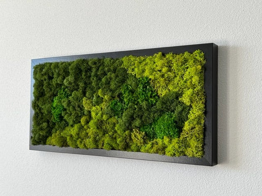 Unique Moss Wall Art - Moss Wall Art Framed - Wood Artwork - Preserved Live Moss