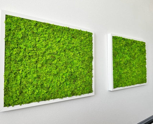 Custom made unique moss wall art -  Moss art - Natural framed Artwork - Preserve Moss Art - Handmade - Made in US