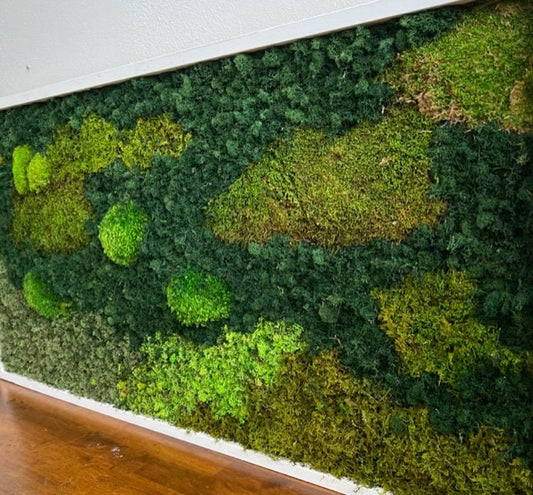 Unique Moss Wall Art - Moss Wall Art Framed -  Natural Wood Artwork - Preserved Live Moss