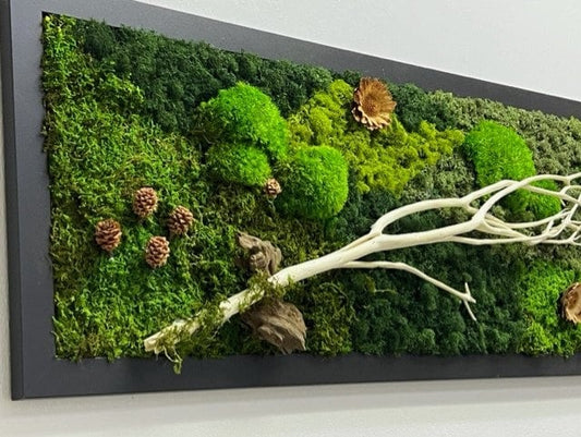 Unique Moss Wall Art - Moss Wall Art Framed - Wood Artwork - Preserved Live Moss