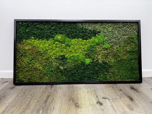 Unique Moss Wall Art - Moss Wall Art Frames -  Natural Wood Artwork - Preserved Live Moss