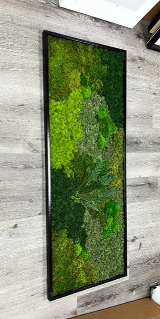 Unique Moss Wall Art - Moss Wall Art Framed -  Natural Wooden Artwork - Preserved Live Moss