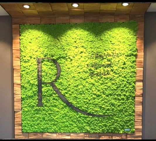Customize Unique Moss Art - Eco Art Plants Wall - Live Preserved Moss Wall Art - Home Decor - Office Decor - Handmade - Made in US